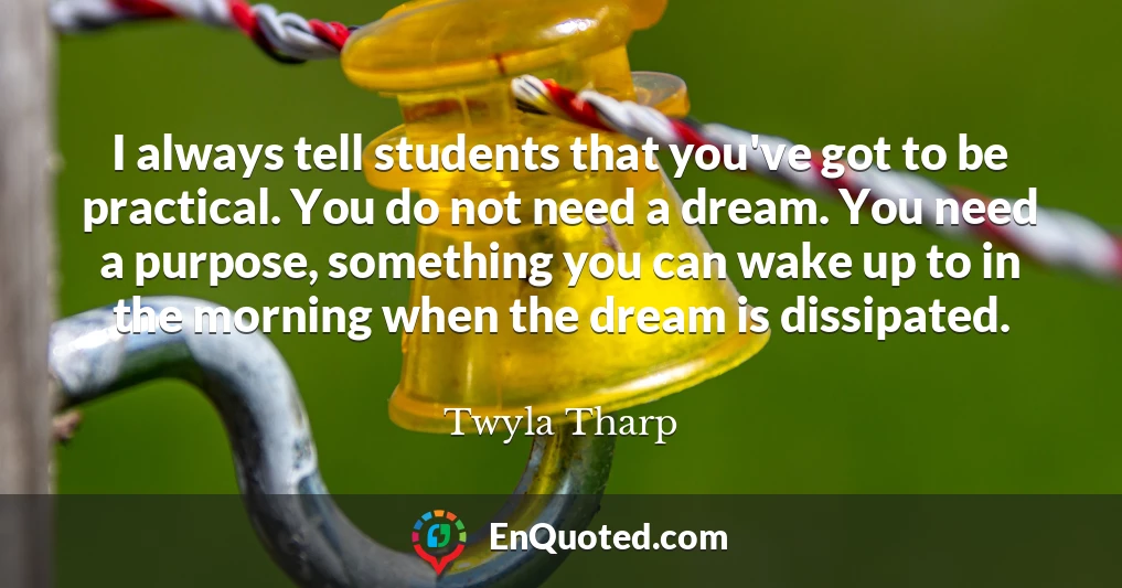 I always tell students that you've got to be practical. You do not need a dream. You need a purpose, something you can wake up to in the morning when the dream is dissipated.