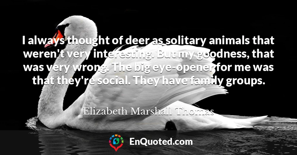 I always thought of deer as solitary animals that weren't very interesting. But my goodness, that was very wrong. The big eye-opener for me was that they're social. They have family groups.