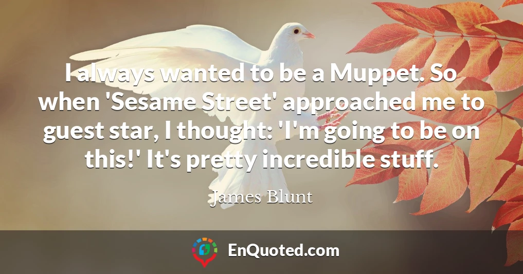 I always wanted to be a Muppet. So when 'Sesame Street' approached me to guest star, I thought: 'I'm going to be on this!' It's pretty incredible stuff.