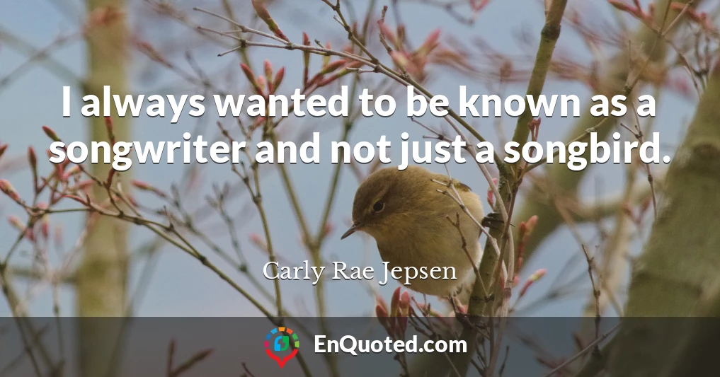 I always wanted to be known as a songwriter and not just a songbird.
