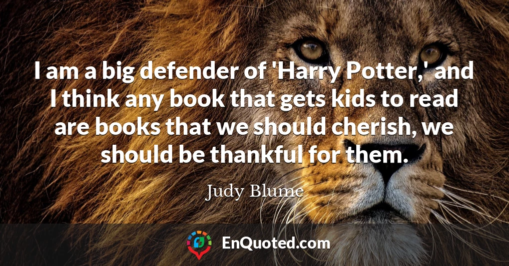 I am a big defender of 'Harry Potter,' and I think any book that gets kids to read are books that we should cherish, we should be thankful for them.