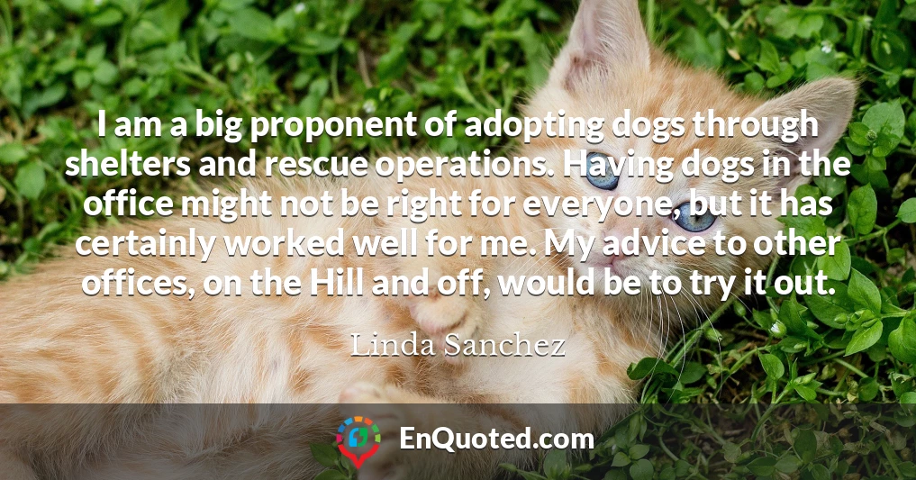 I am a big proponent of adopting dogs through shelters and rescue operations. Having dogs in the office might not be right for everyone, but it has certainly worked well for me. My advice to other offices, on the Hill and off, would be to try it out.