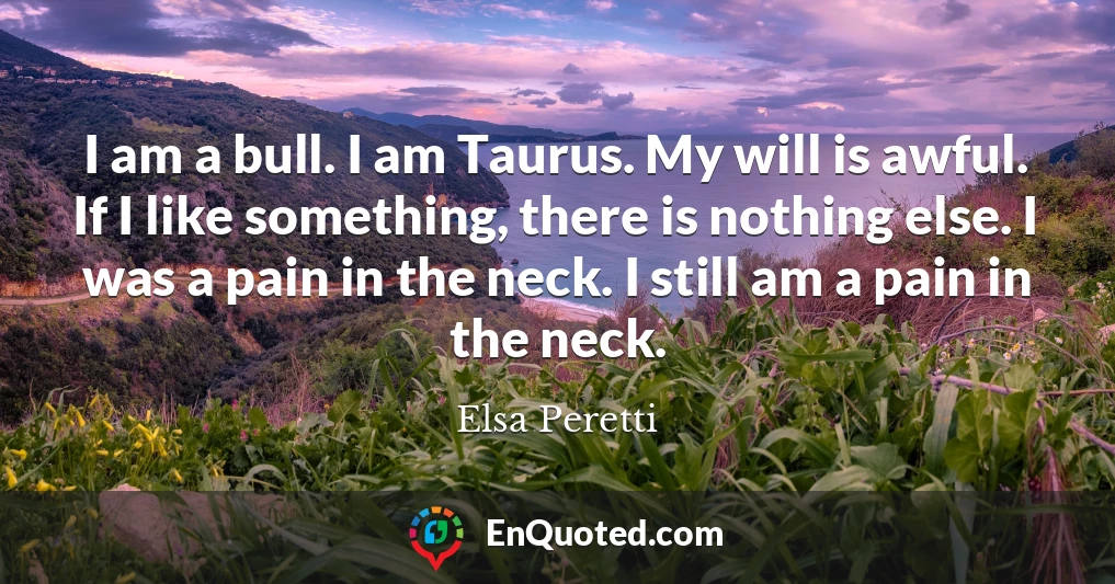 I am a bull. I am Taurus. My will is awful. If I like something, there is nothing else. I was a pain in the neck. I still am a pain in the neck.