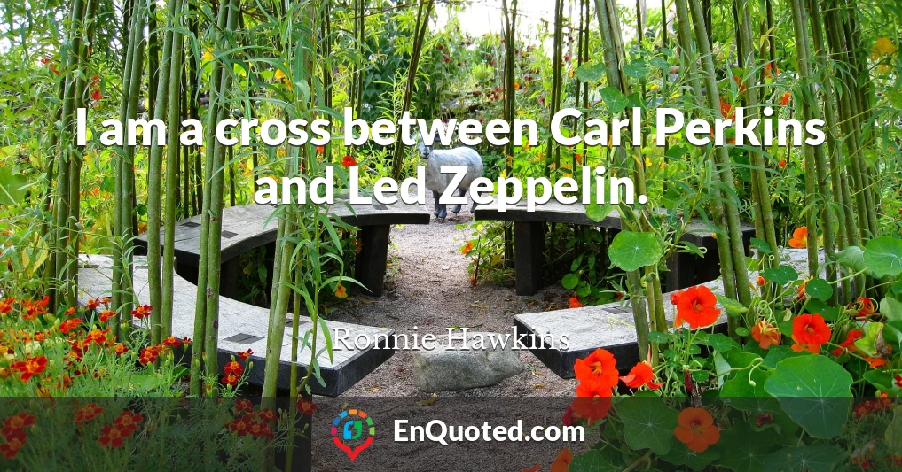 I am a cross between Carl Perkins and Led Zeppelin.