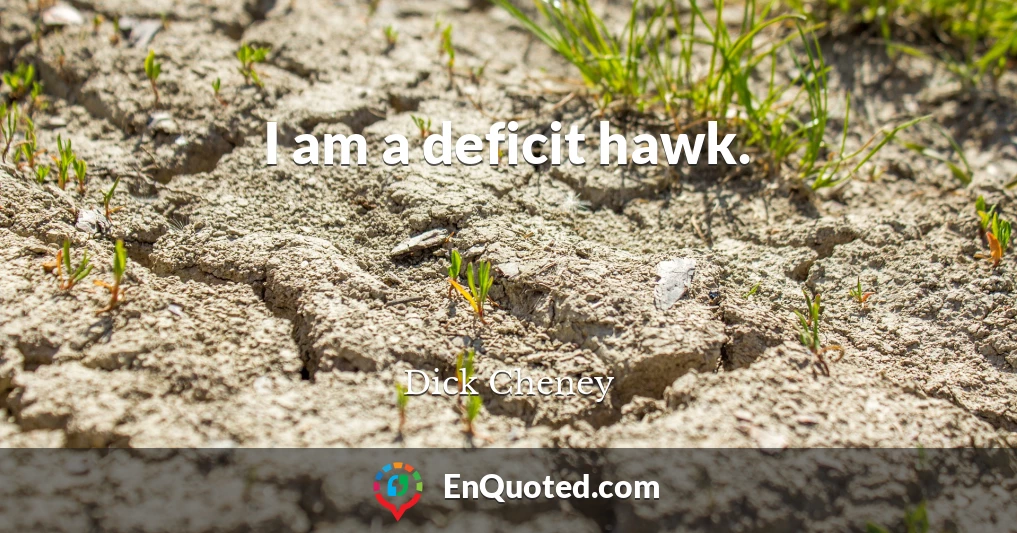 I am a deficit hawk.