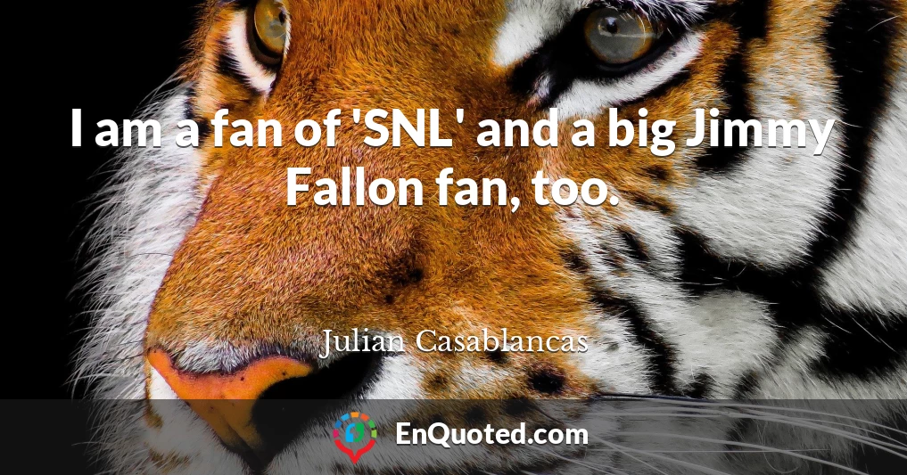 I am a fan of 'SNL' and a big Jimmy Fallon fan, too.