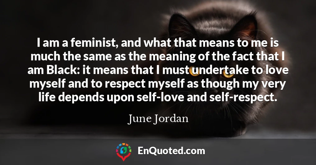 I am a feminist, and what that means to me is much the same as the meaning of the fact that I am Black: it means that I must undertake to love myself and to respect myself as though my very life depends upon self-love and self-respect.