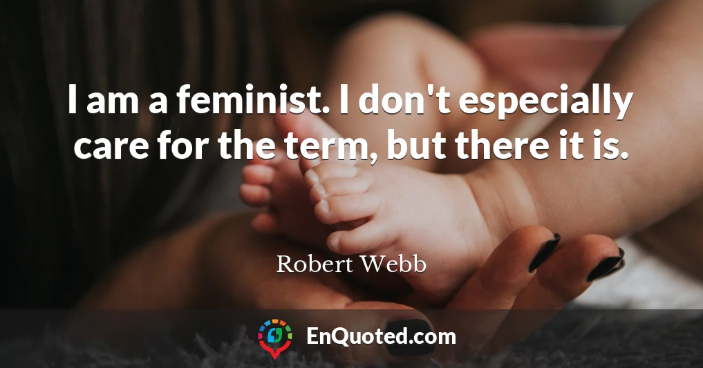 I am a feminist. I don't especially care for the term, but there it is.