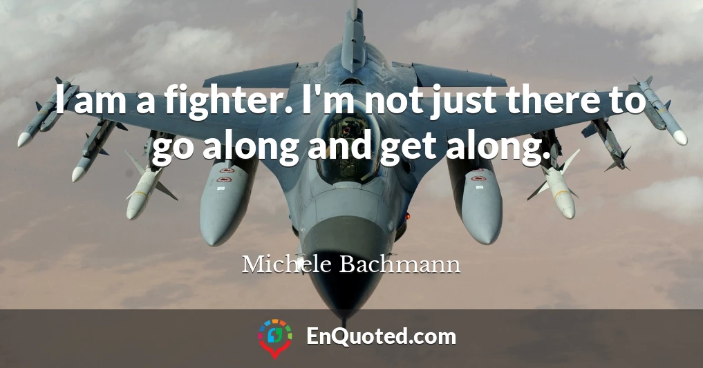 I am a fighter. I'm not just there to go along and get along.