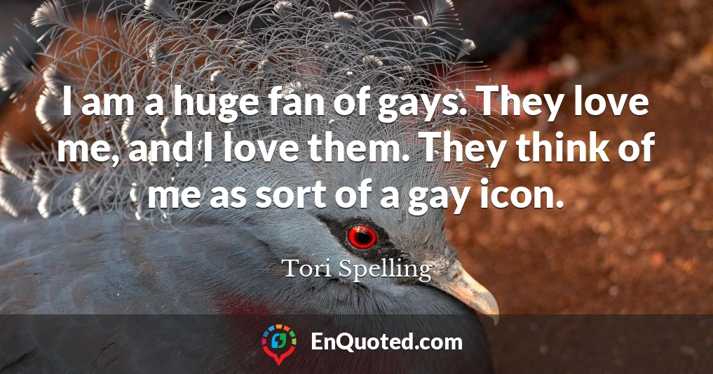 I am a huge fan of gays. They love me, and I love them. They think of me as sort of a gay icon.