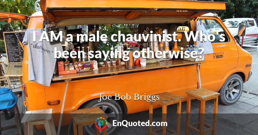 I AM a male chauvinist. Who's been saying otherwise?