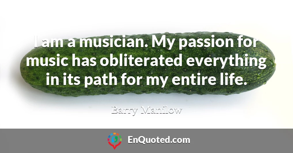 I am a musician. My passion for music has obliterated everything in its path for my entire life.