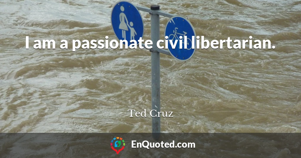 I am a passionate civil libertarian.