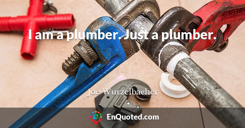 I am a plumber. Just a plumber.