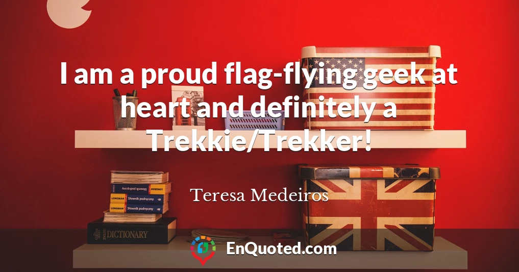 I am a proud flag-flying geek at heart and definitely a Trekkie/Trekker!