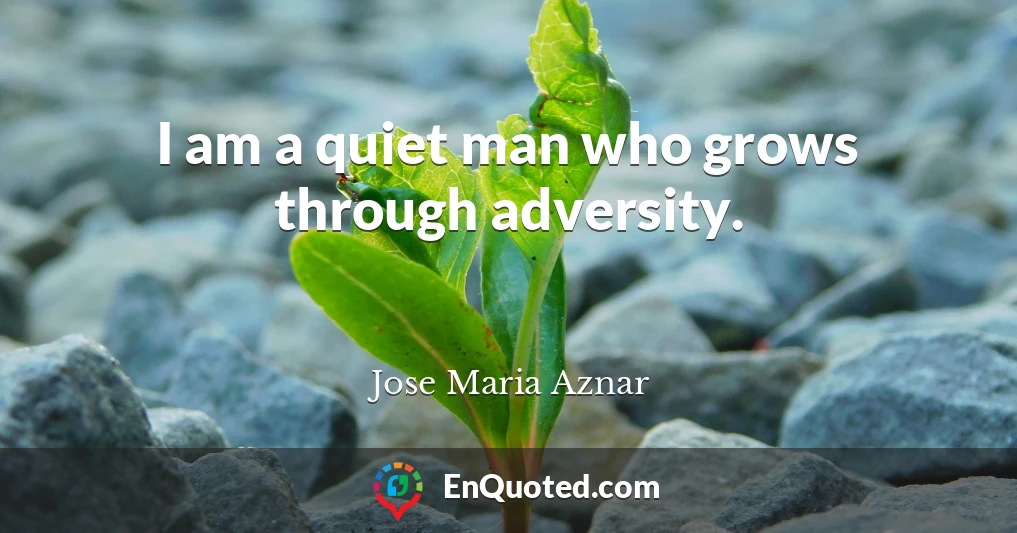 I am a quiet man who grows through adversity.