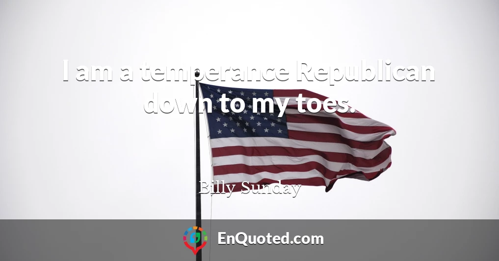 I am a temperance Republican down to my toes.