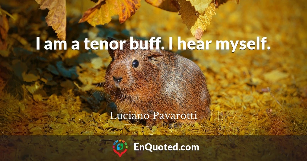 I am a tenor buff. I hear myself.