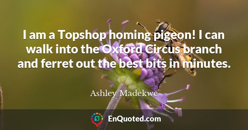 I am a Topshop homing pigeon! I can walk into the Oxford Circus branch and ferret out the best bits in minutes.