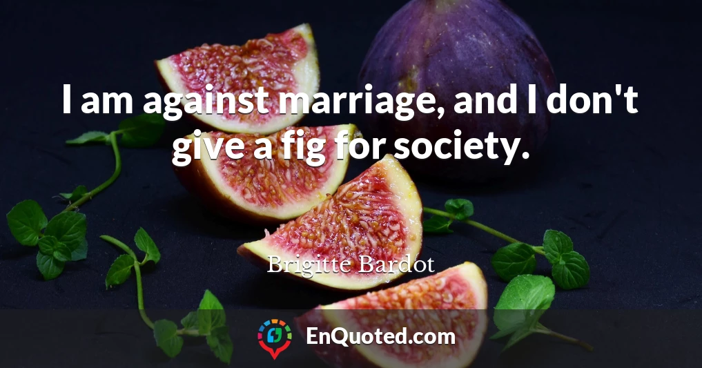 I am against marriage, and I don't give a fig for society.