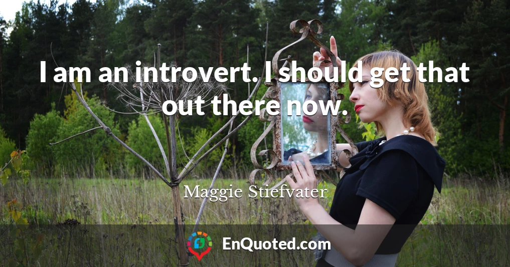 I am an introvert. I should get that out there now.