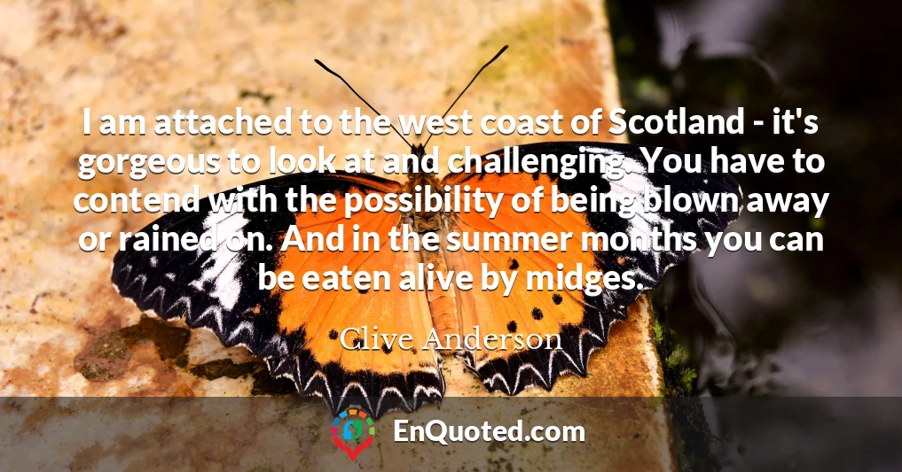 I am attached to the west coast of Scotland - it's gorgeous to look at and challenging. You have to contend with the possibility of being blown away or rained on. And in the summer months you can be eaten alive by midges.
