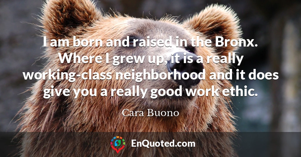 I am born and raised in the Bronx. Where I grew up, it is a really working-class neighborhood and it does give you a really good work ethic.
