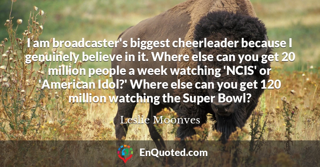 I am broadcaster's biggest cheerleader because I genuinely believe in it. Where else can you get 20 million people a week watching 'NCIS' or 'American Idol?' Where else can you get 120 million watching the Super Bowl?