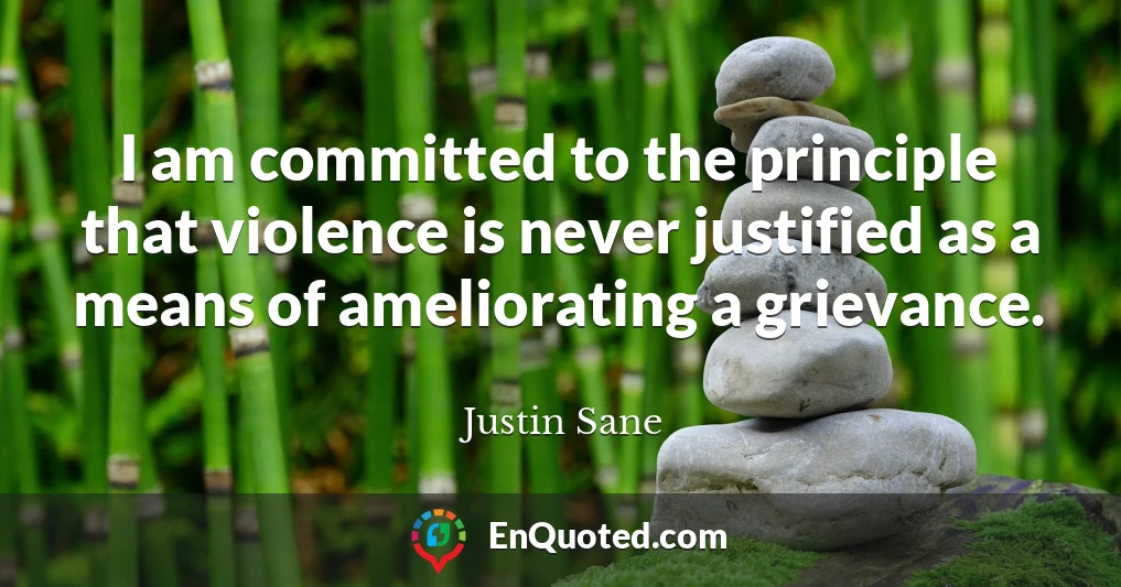I am committed to the principle that violence is never justified as a means of ameliorating a grievance.