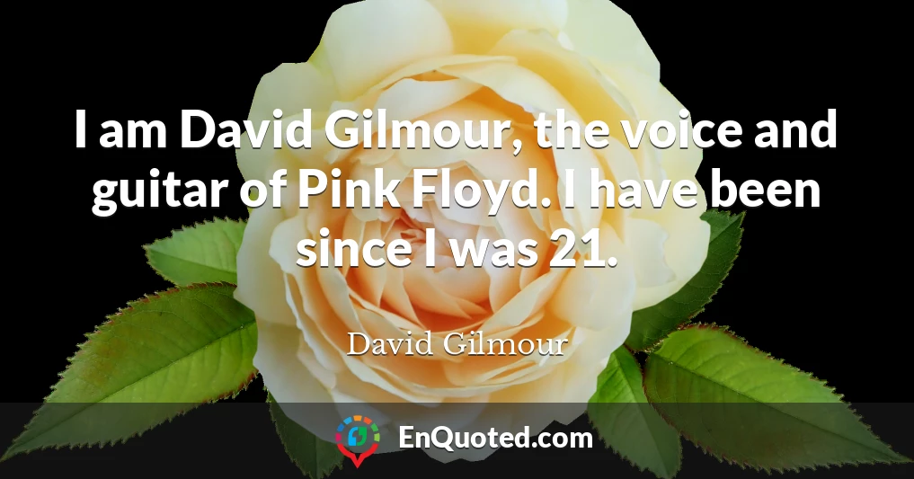 I am David Gilmour, the voice and guitar of Pink Floyd. I have been since I was 21.