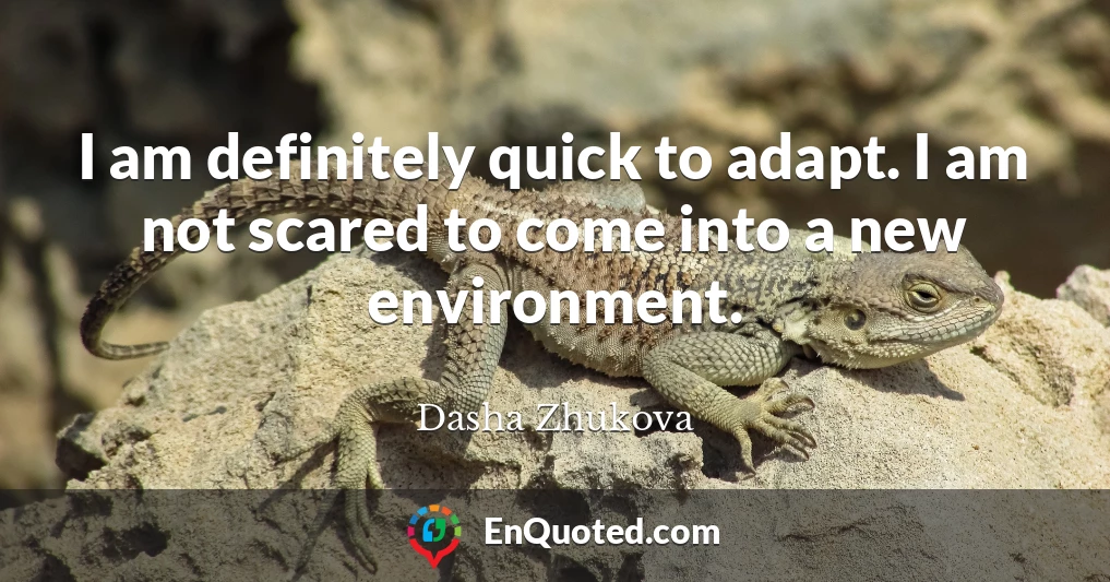 I am definitely quick to adapt. I am not scared to come into a new environment.