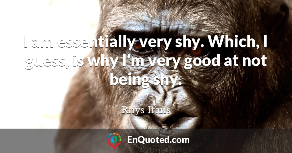 I am essentially very shy. Which, I guess, is why I'm very good at not being shy.
