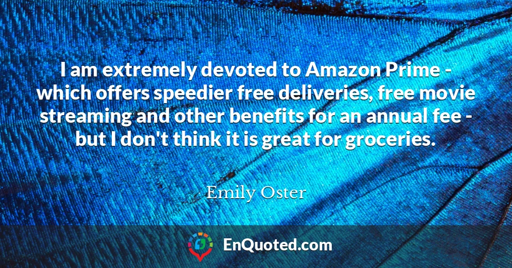 I am extremely devoted to Amazon Prime - which offers speedier free deliveries, free movie streaming and other benefits for an annual fee - but I don't think it is great for groceries.