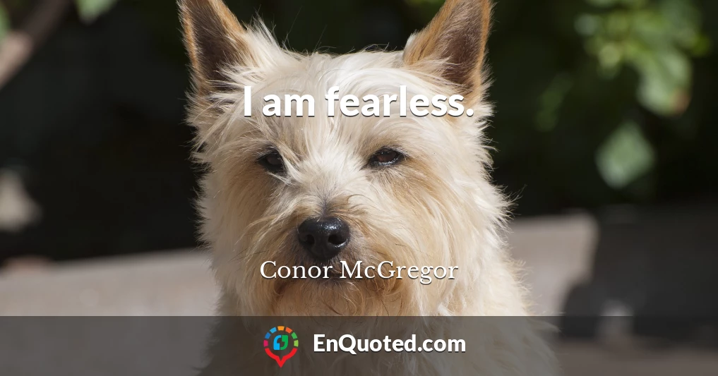 I am fearless.