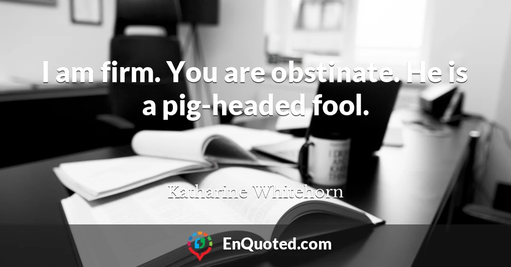 I am firm. You are obstinate. He is a pig-headed fool.
