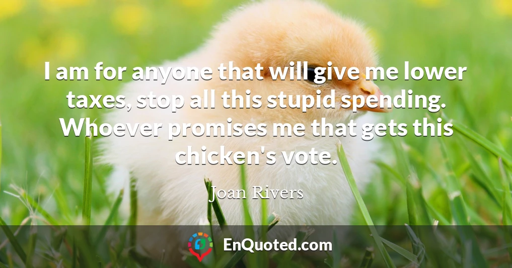 I am for anyone that will give me lower taxes, stop all this stupid spending. Whoever promises me that gets this chicken's vote.