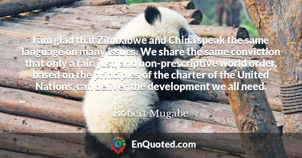 I am glad that Zimbabwe and China speak the same language on many issues. We share the same conviction that only a fair, just, and non-prescriptive world order, based on the principles of the charter of the United Nations, can deliver the development we all need.