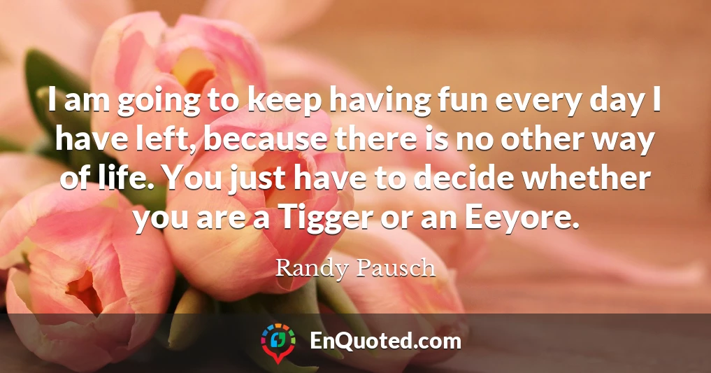 I am going to keep having fun every day I have left, because there is no other way of life. You just have to decide whether you are a Tigger or an Eeyore.
