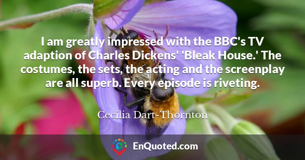 I am greatly impressed with the BBC's TV adaption of Charles Dickens' 'Bleak House.' The costumes, the sets, the acting and the screenplay are all superb. Every episode is riveting.