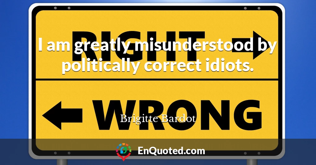 I am greatly misunderstood by politically correct idiots.