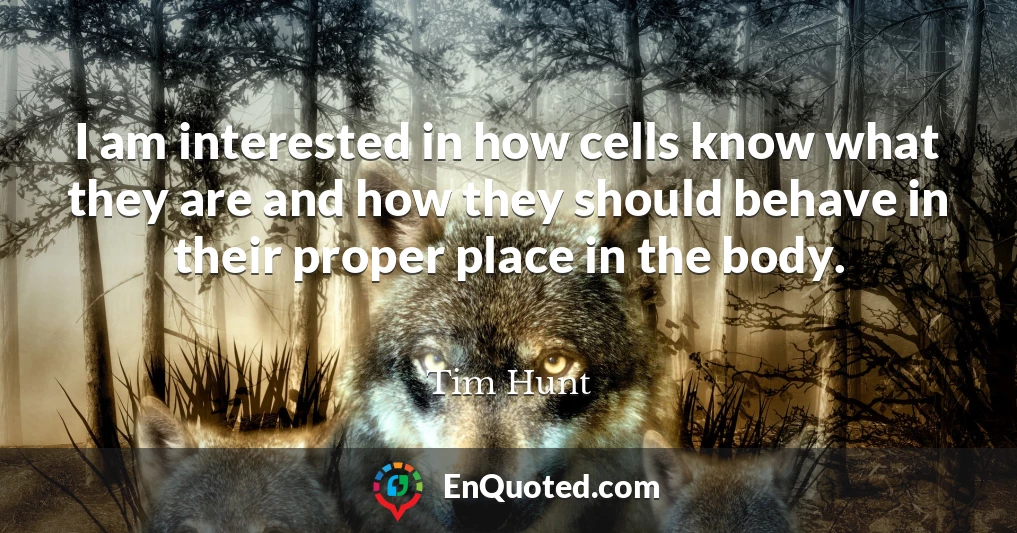 I am interested in how cells know what they are and how they should behave in their proper place in the body.