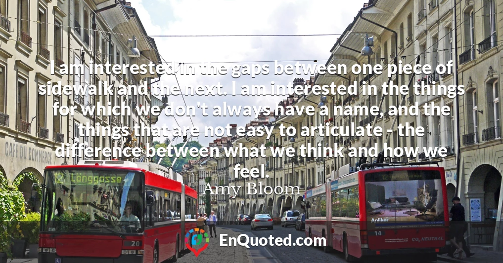 I am interested in the gaps between one piece of sidewalk and the next. I am interested in the things for which we don't always have a name, and the things that are not easy to articulate - the difference between what we think and how we feel.