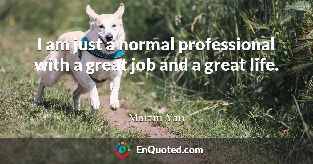 I am just a normal professional with a great job and a great life.