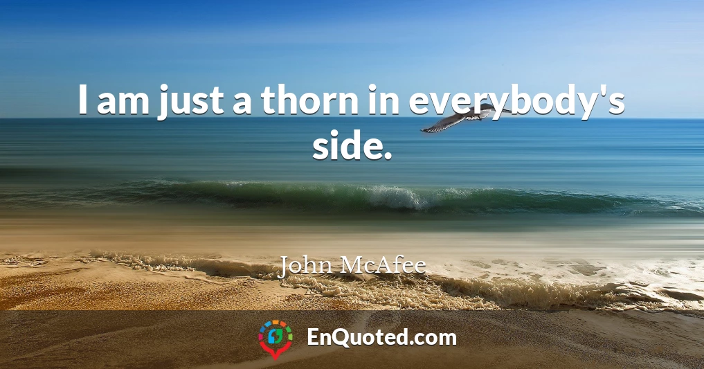 I am just a thorn in everybody's side.