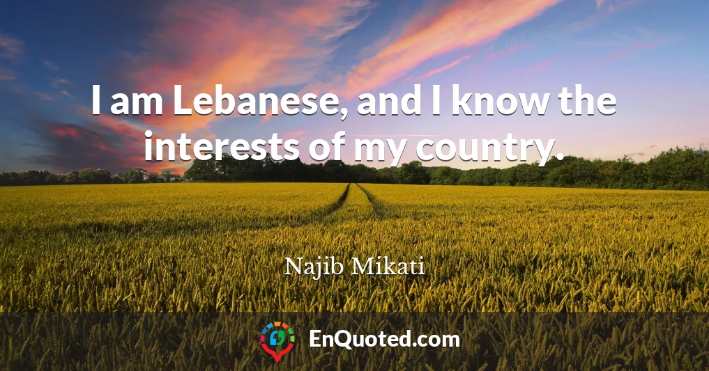I am Lebanese, and I know the interests of my country.