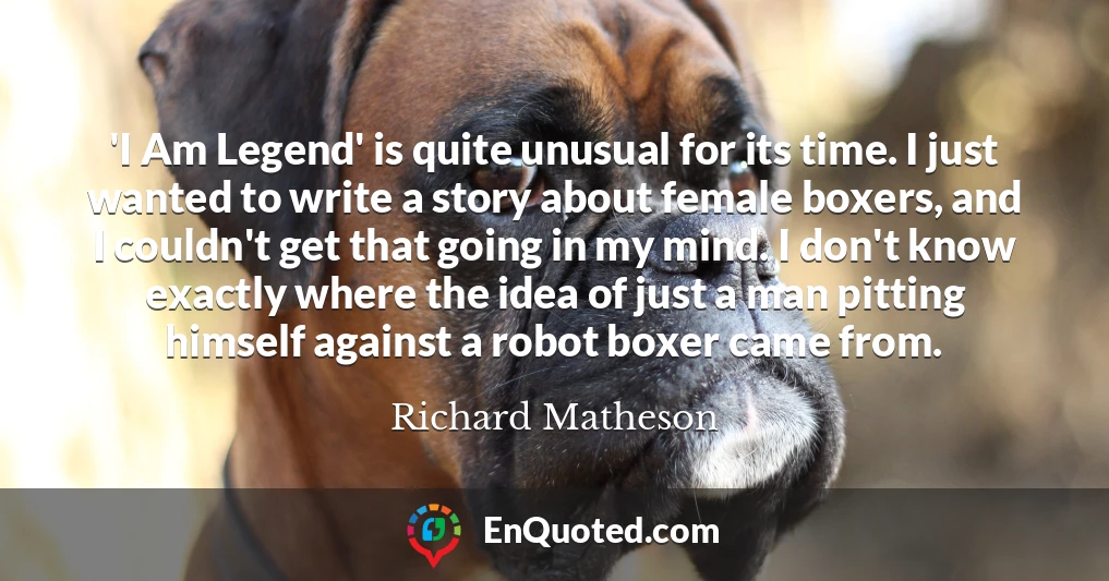 'I Am Legend' is quite unusual for its time. I just wanted to write a story about female boxers, and I couldn't get that going in my mind. I don't know exactly where the idea of just a man pitting himself against a robot boxer came from.