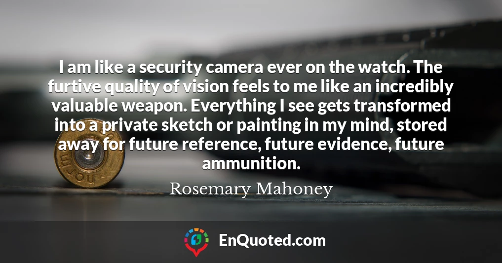 I am like a security camera ever on the watch. The furtive quality of vision feels to me like an incredibly valuable weapon. Everything I see gets transformed into a private sketch or painting in my mind, stored away for future reference, future evidence, future ammunition.