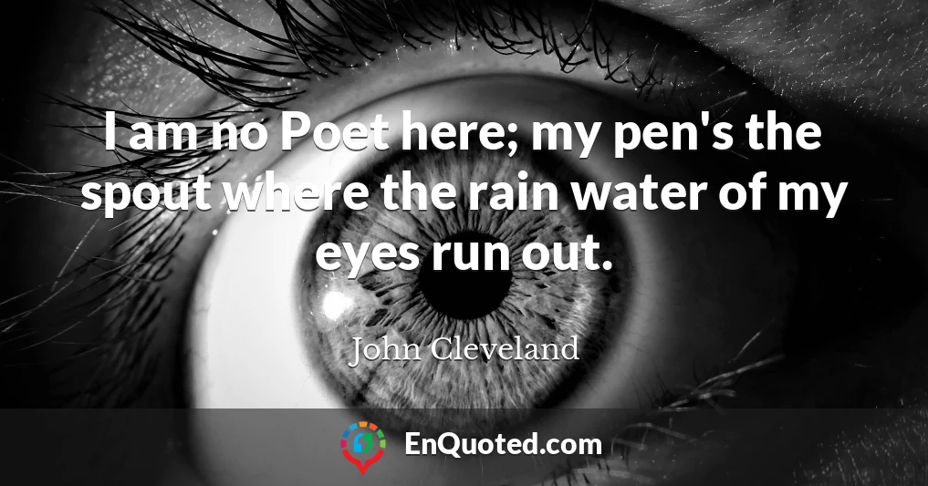 I am no Poet here; my pen's the spout where the rain water of my eyes run out.