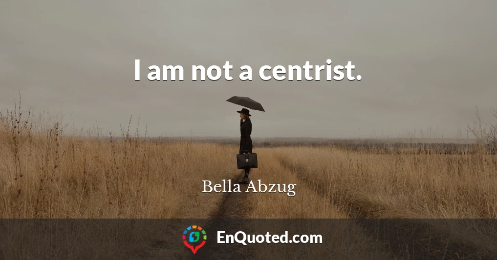 I am not a centrist.