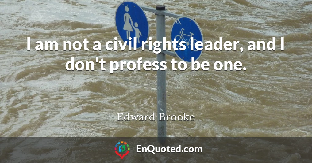 I am not a civil rights leader, and I don't profess to be one.